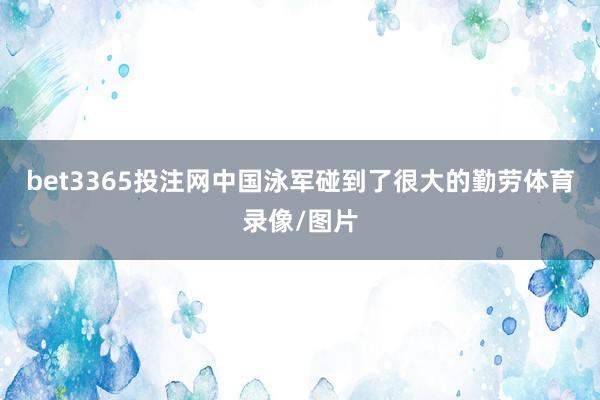 bet3365投注网中国泳军碰到了很大的勤劳体育录像/图片