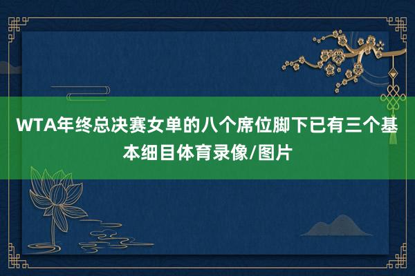 WTA年终总决赛女单的八个席位脚下已有三个基本细目体育录像/图片