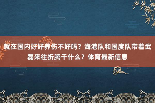 就在国内好好养伤不好吗？海港队和国度队带着武磊来往折腾干什么？体育最新信息