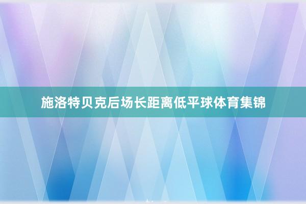 施洛特贝克后场长距离低平球体育集锦