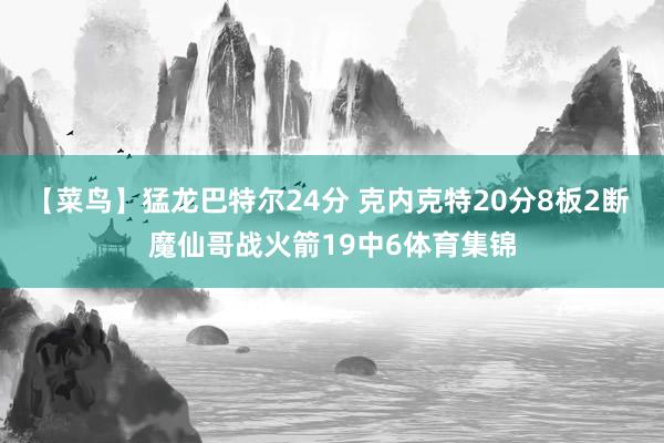 【菜鸟】猛龙巴特尔24分 克内克特20分8板2断 魔仙哥战火箭19中6体育集锦