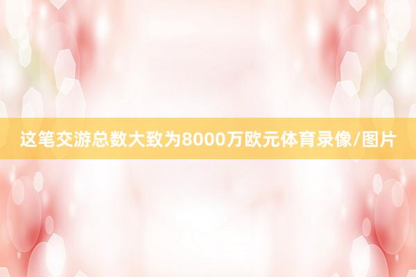 这笔交游总数大致为8000万欧元体育录像/图片