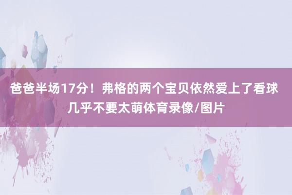 爸爸半场17分！弗格的两个宝贝依然爱上了看球 几乎不要太萌体育录像/图片