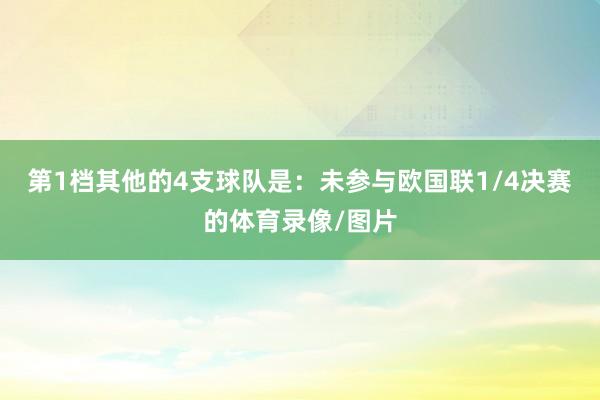 第1档其他的4支球队是：未参与欧国联1/4决赛的体育录像/图片