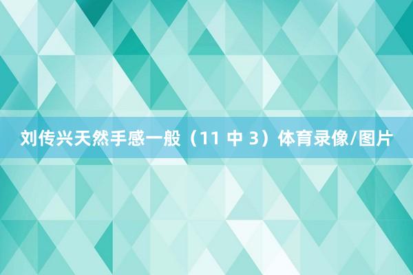 刘传兴天然手感一般（11 中 3）体育录像/图片