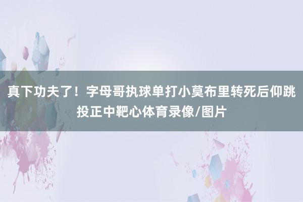 真下功夫了！字母哥执球单打小莫布里转死后仰跳投正中靶心体育录像/图片