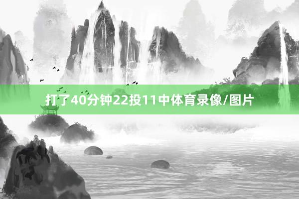 打了40分钟22投11中体育录像/图片