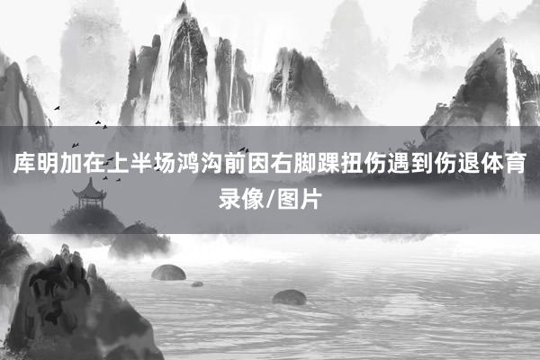 库明加在上半场鸿沟前因右脚踝扭伤遇到伤退体育录像/图片