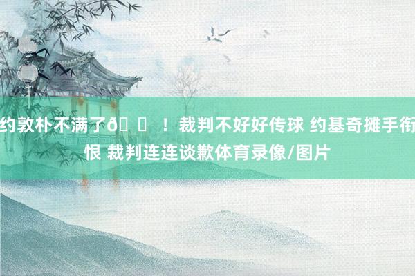 约敦朴不满了😠！裁判不好好传球 约基奇摊手衔恨 裁判连连谈歉体育录像/图片