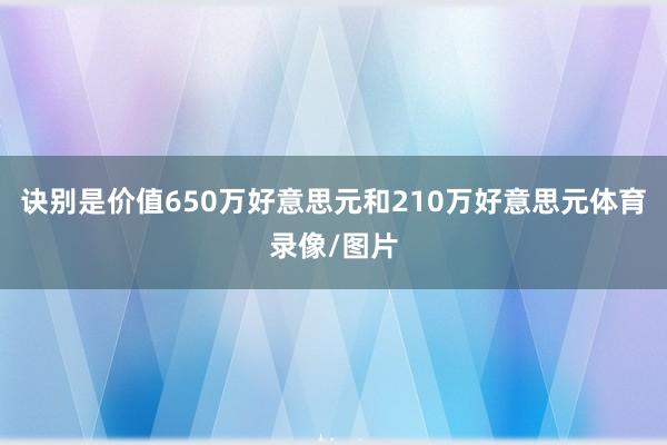 诀别是价值650万好意思元和210万好意思元体育录像/图片