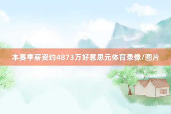 本赛季薪资约4873万好意思元体育录像/图片