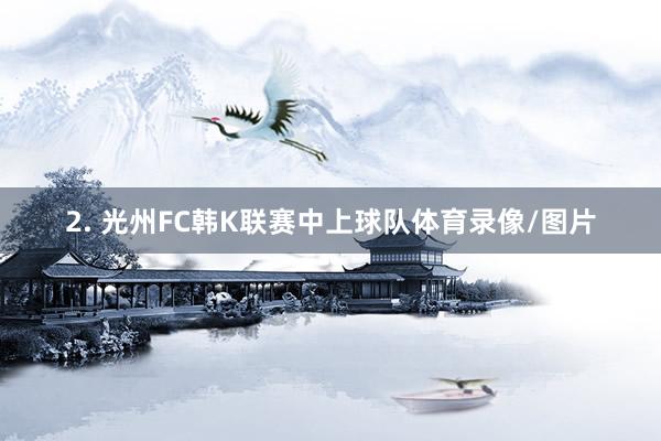 2. 光州FC韩K联赛中上球队体育录像/图片