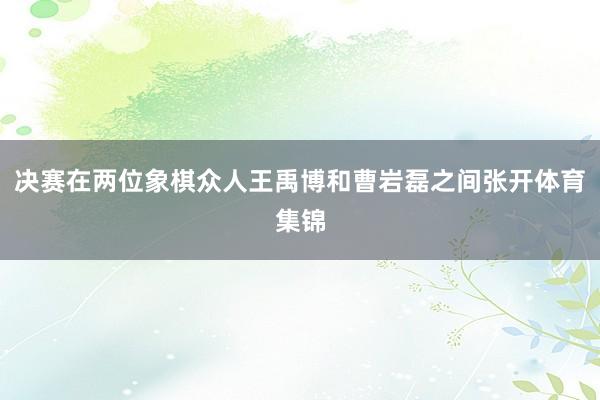 决赛在两位象棋众人王禹博和曹岩磊之间张开体育集锦